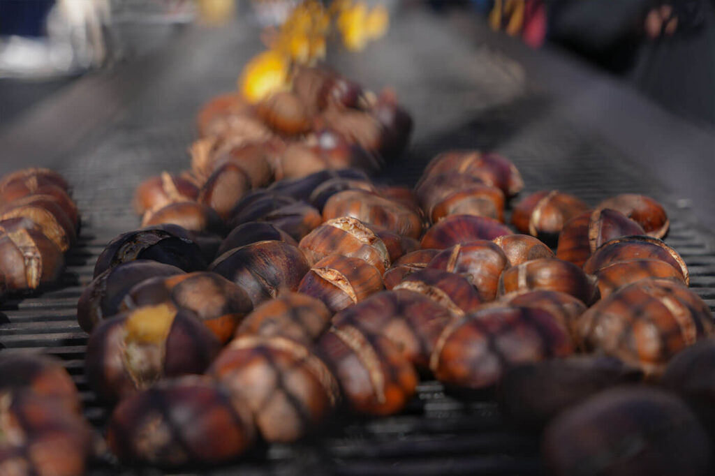 شتوية-سار-2023---سار-SAR-3